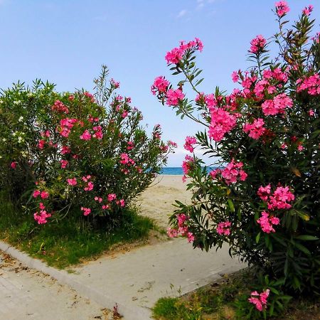 Milla Lux 1 Apartment Paralia Katerinis Luaran gambar
