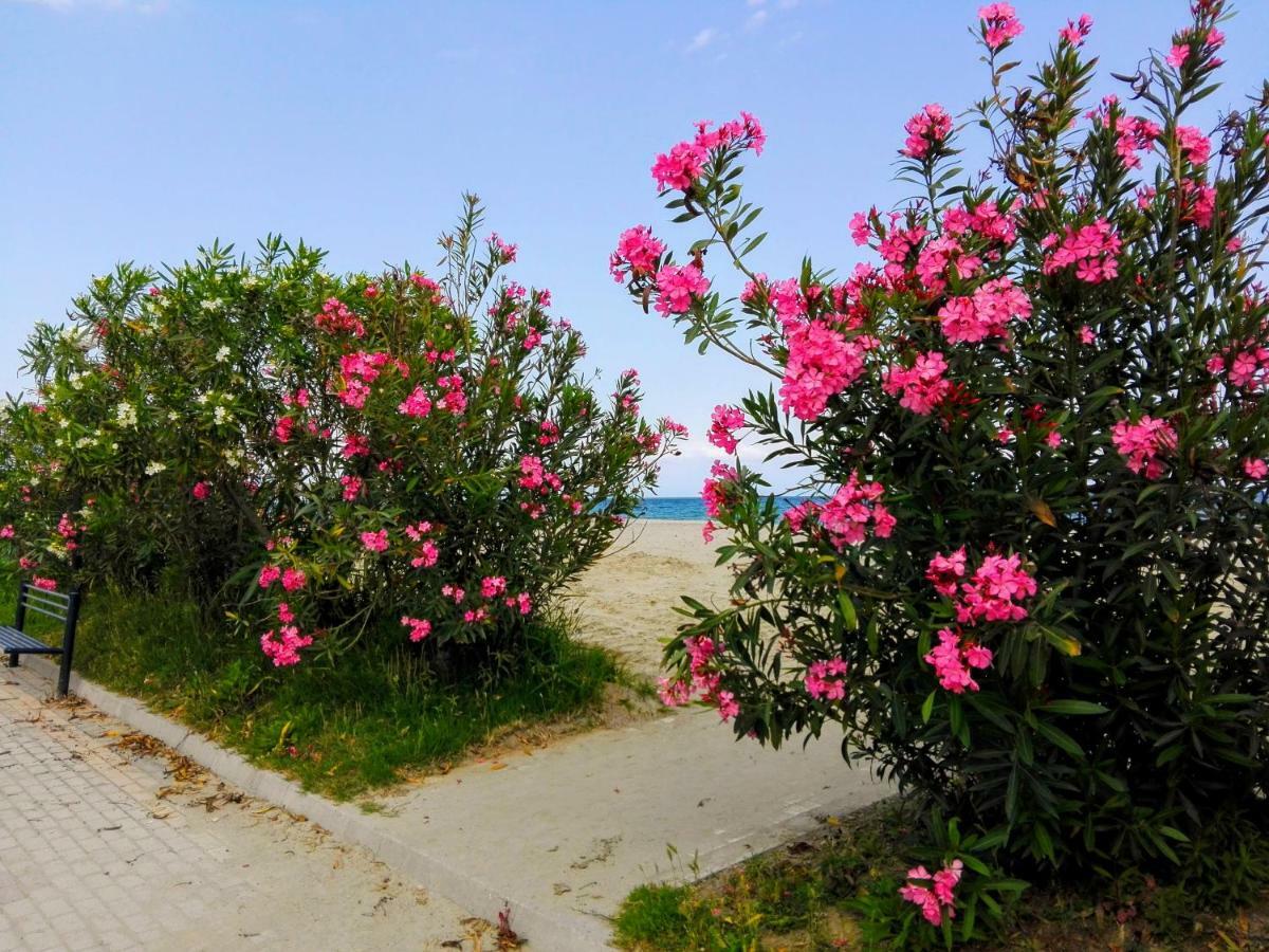 Milla Lux 1 Apartment Paralia Katerinis Luaran gambar
